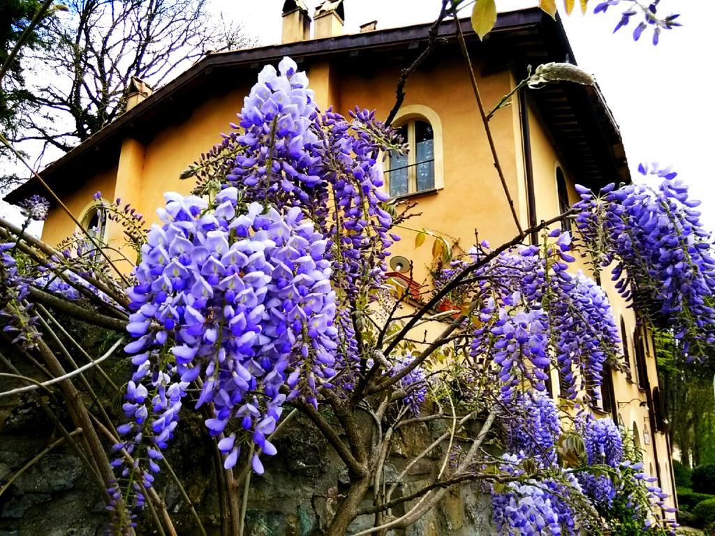 La Locanda Del Borgo Pietralunga  Kültér fotó